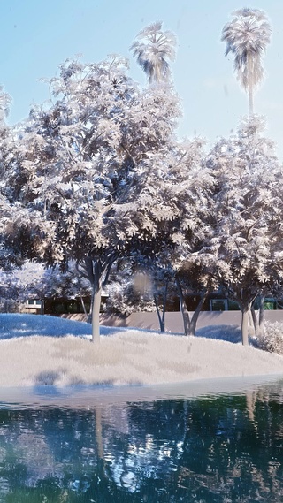 冰雪4K