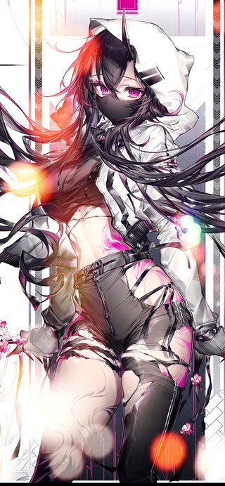 性感二次元御姐