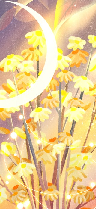 唯美治愈月亮花花