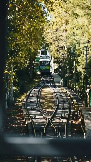 风景