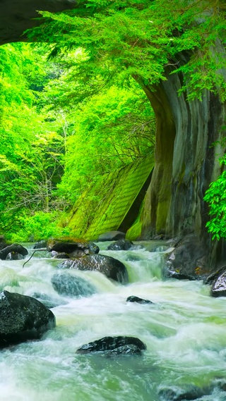 护眼山涧流水
