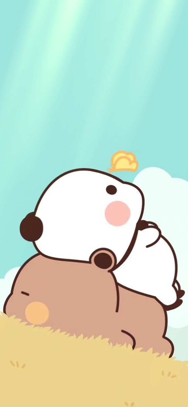 治愈可爱午休小熊