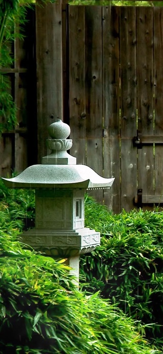 雨中庭院