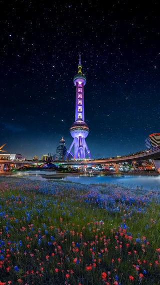 星空浪漫夜景动态壁纸
