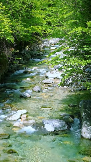 夏日绿林山涧