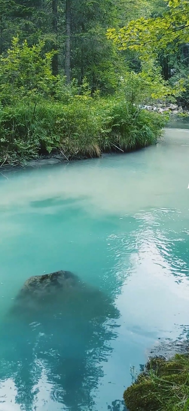 清泉石上流(风景手机动态壁纸) - 风景手机壁纸下载 - 元气壁纸