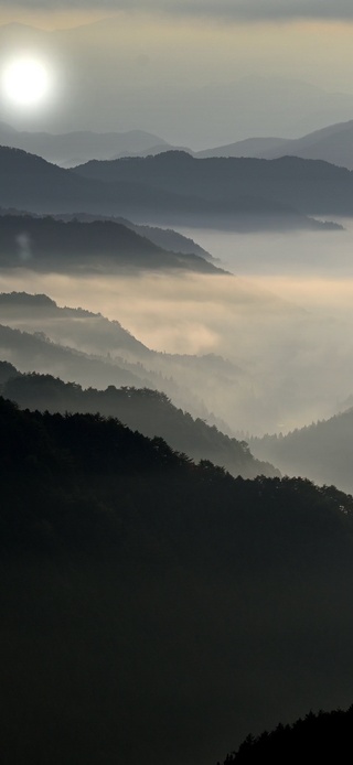 千山鸟飞绝