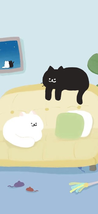 可爱猫咪