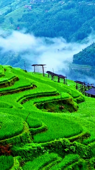 4K唯美乡村流云