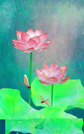 雨中荷花