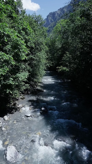 小溪流水风景动态壁纸