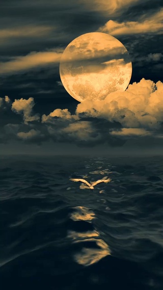 海上升明月，天涯共此时