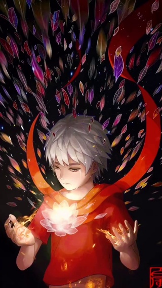 宝莲男孩
