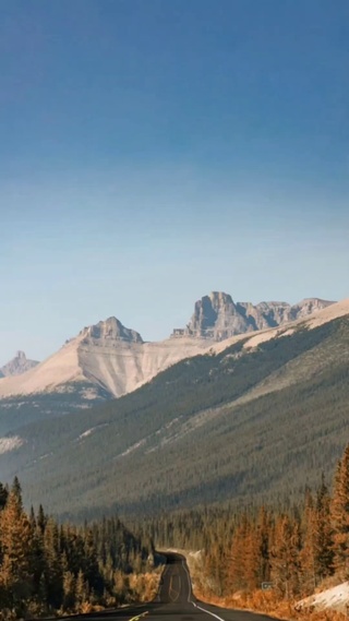 风景