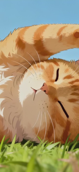 可爱橘猫的美梦