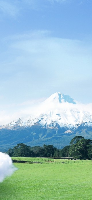 治愈草原雪山