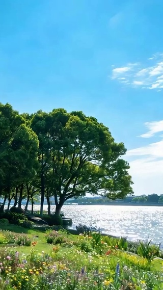 白云花草树木海景