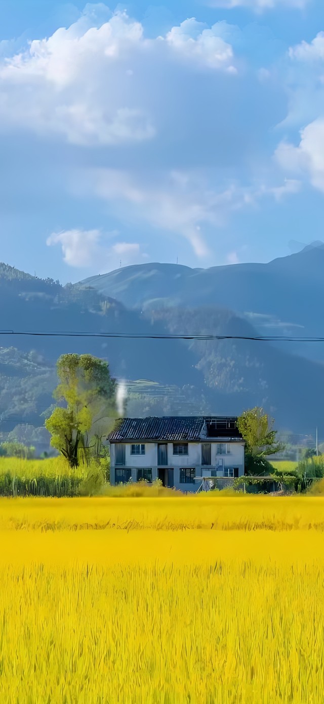 唯美的乡村风景手机动态壁纸)