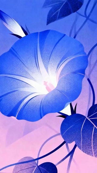 喇叭花