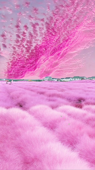 花海连天