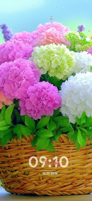 看见花开