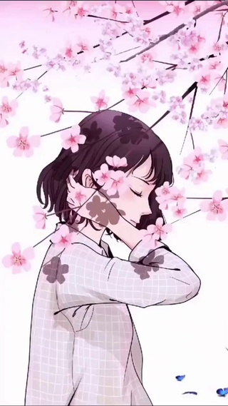 蝴蝶樱花