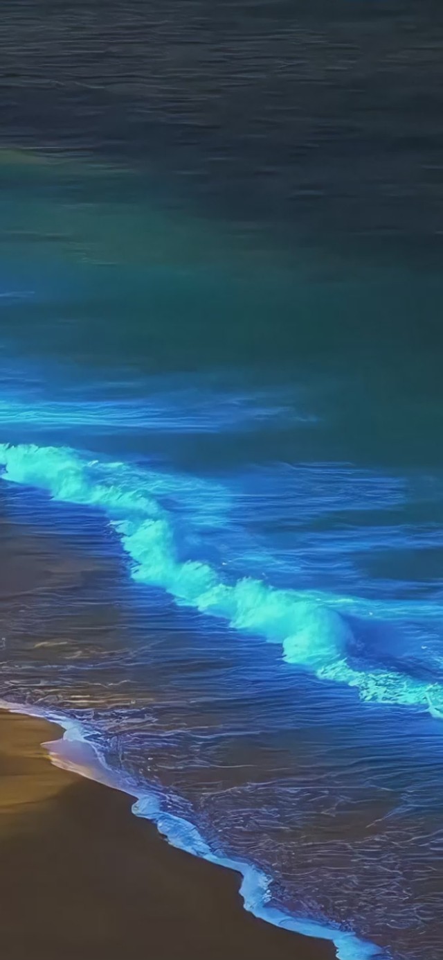 海岸夜景