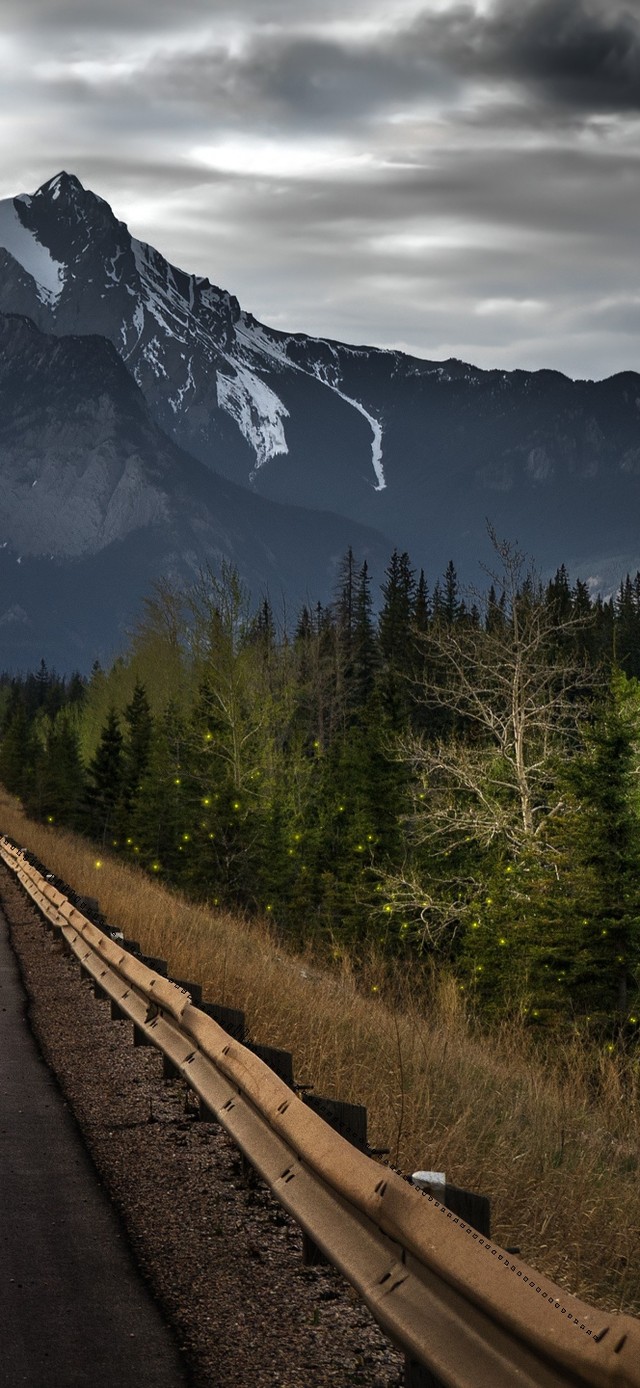 周末时光遛马路