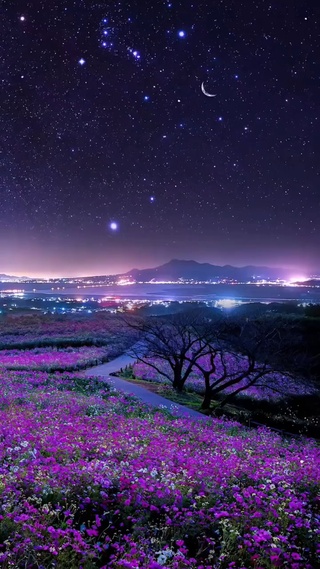 夜空中最亮的星 风景手机动态壁纸 风景手机壁纸下载 元气壁纸