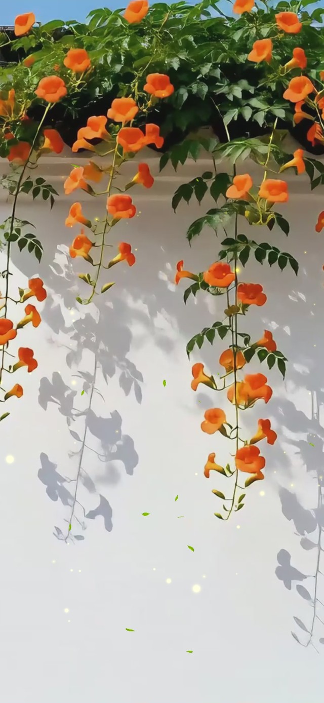 花墙