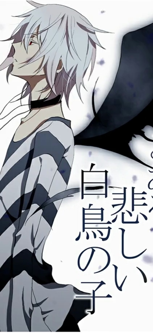 一方通行——黑天使