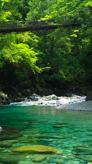 4K护眼山谷溪流 