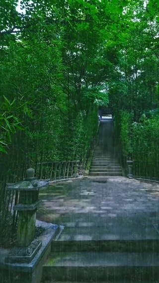 真正的安静，不是深山古刹的寂静，而是我们内心深处的清净。“何期自性，本自清净。