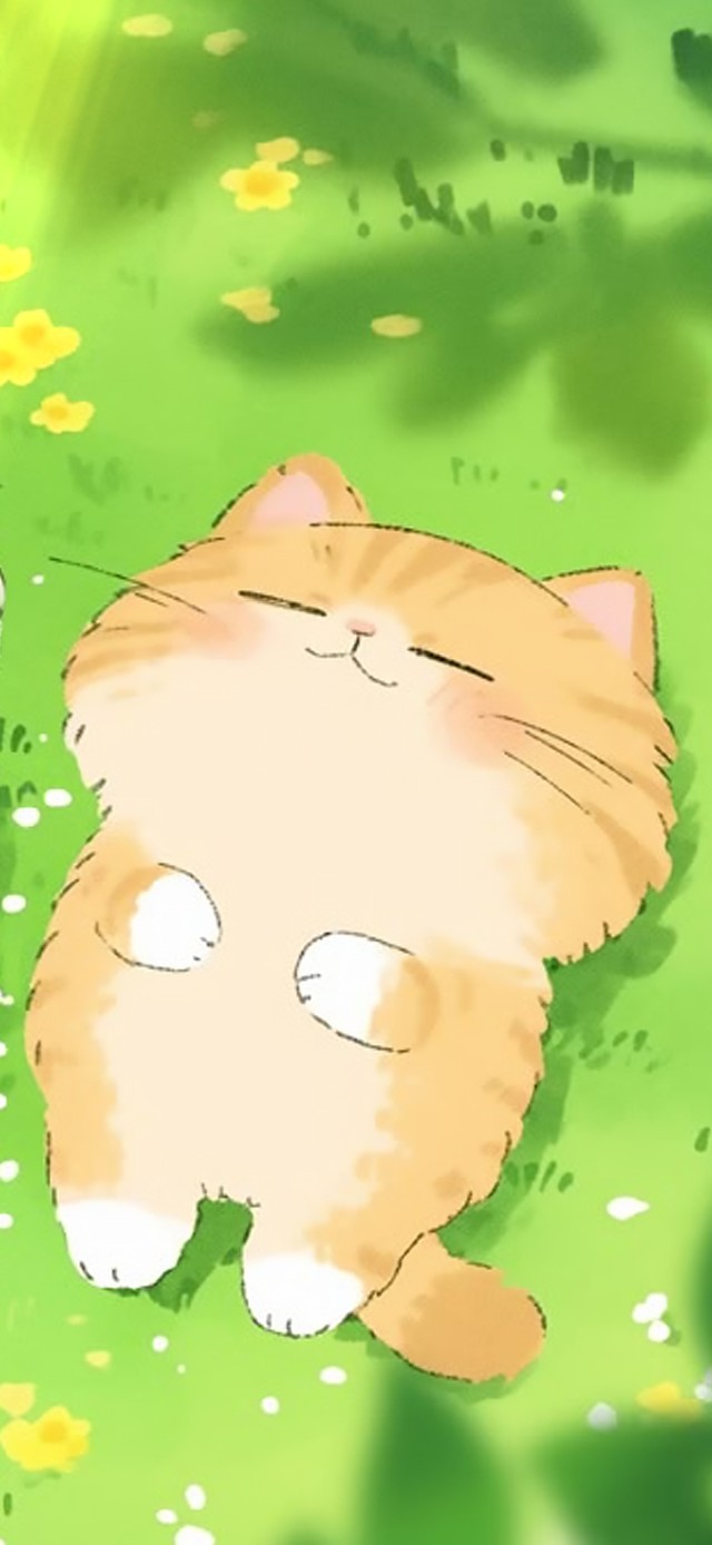 呼呼大睡的可爱猫猫