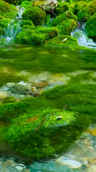 夏日清澈山泉溪流