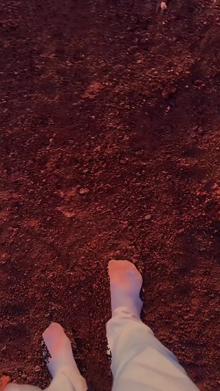 中国画中的太阳