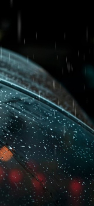 夏雨
