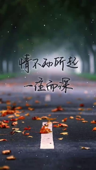 情不知所起，一往而深