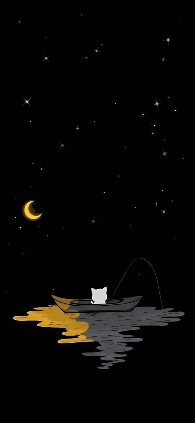 钓鱼小猫～夜空
