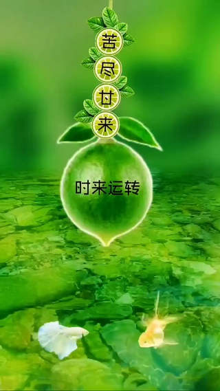 的曲折情路