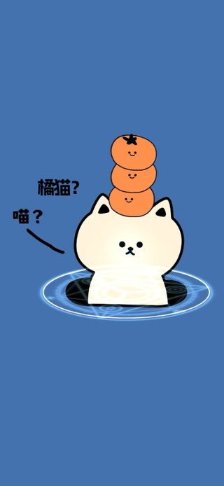 喵？我是橘猫