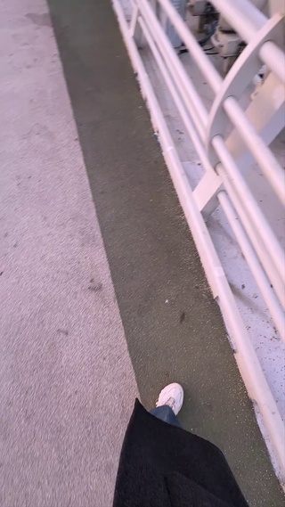 远方天空上可爱的小狗