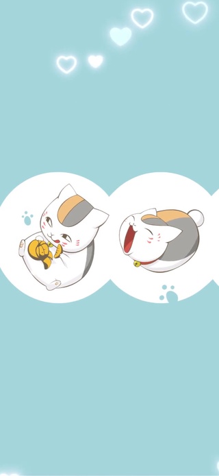 猫咪老师