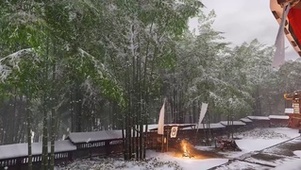 雪景