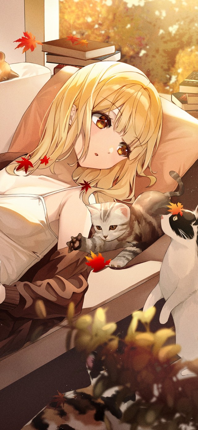 少女和她的猫猫