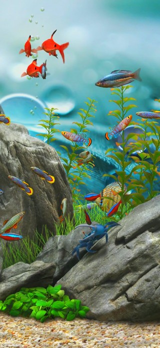 护眼水族馆