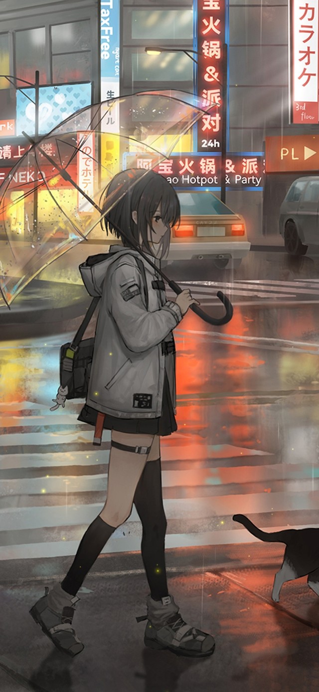 雨天带着猫猫出行