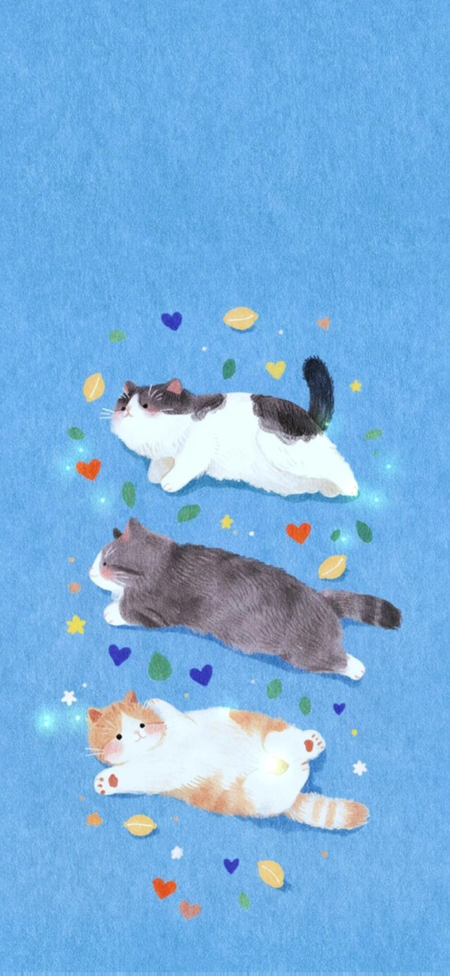 一起玩耍的小猫～可爱～