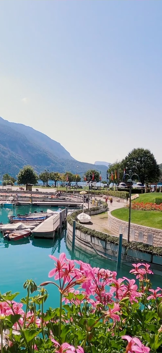 Port in spring