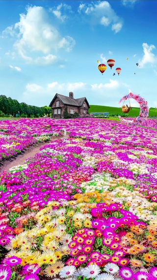 美丽花海